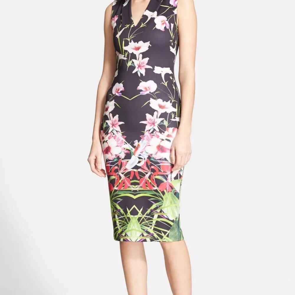 Ted Baker London 'Jalita' Floral Print Midi Dress  -  Size 2